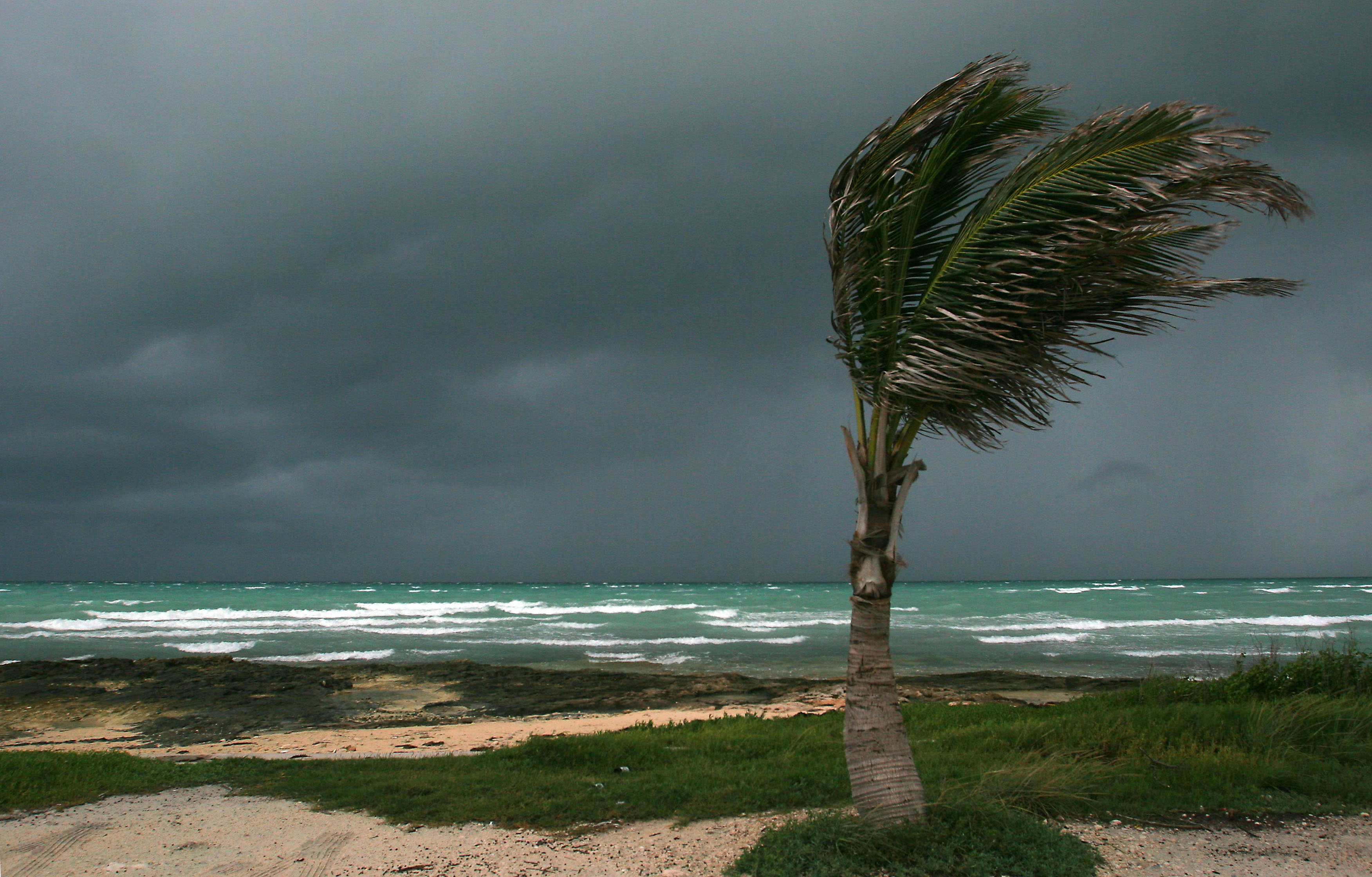 Dark clouds gather and a palm tree blows in the strong winds from Tropical Storm Rita on the Eastern shore line of Nassau, on New Providence Island in The Bahamas, Monday, Sept. 19, 2005. Heavy rain and strong winds lashed the Bahamas on Monday as Tropical Storm Rita crossed the island chain, gathering strength as the system headed toward Cuba and the Florida Keys. (AP Photo/Craig Lenihan)